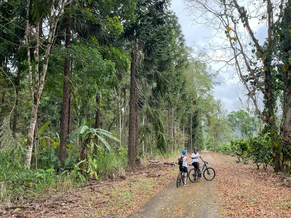 Fietsen & raften bij Turrialba